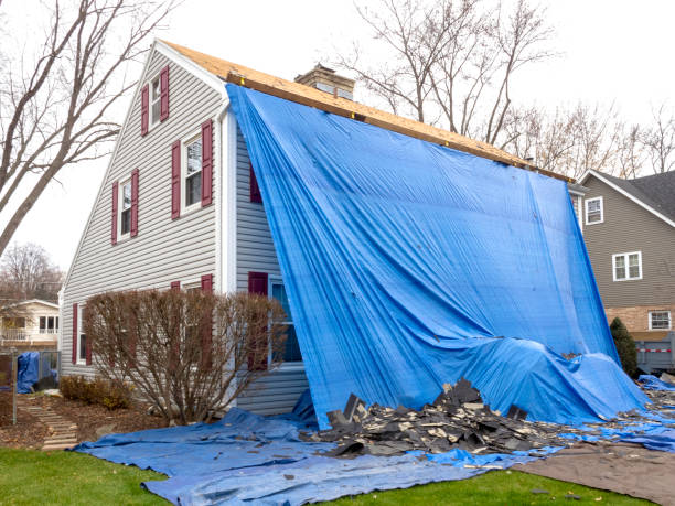 Best Yard Waste Removal  in Stevenson, AL