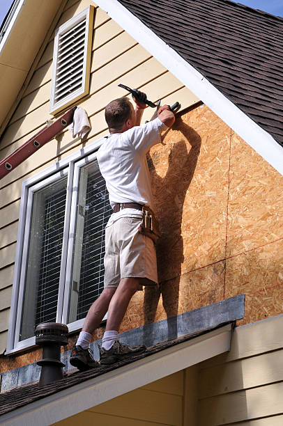Shed Removal in Stevenson, AL